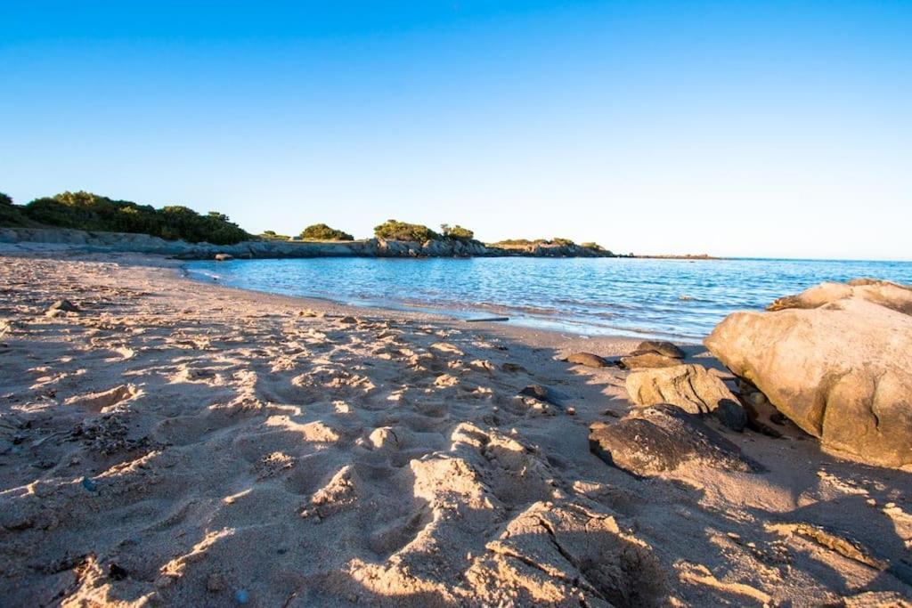 Apartamento L' Elicriso, A Pochi Passi Dal Mare Con Giardino Privato - The Elicriso, A Few Meters From The Sea, With Private Garden Stintino Exterior foto